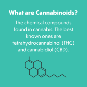 Cannabinoid Infographic Insta